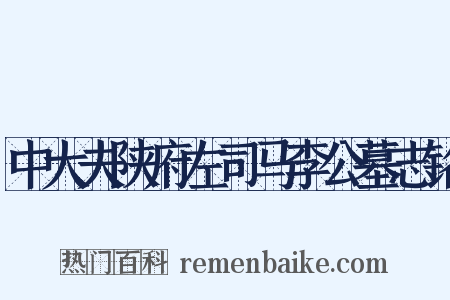 中大夫陕府左司马李公墓志铭是什么意思的图片